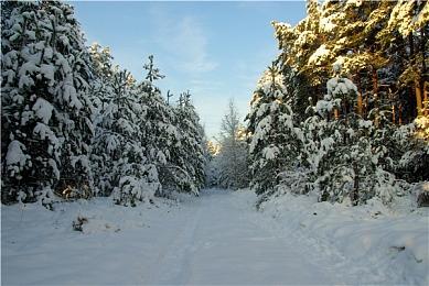 第一人称跑酷游戏《Hirilun》今日发售 支持简体中文